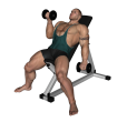 Zottman Curl - Incline Alternate